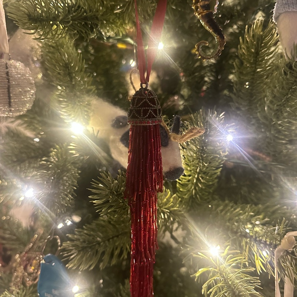 Pottery Barn Beaded Red Tassel Ornament-Set of 10